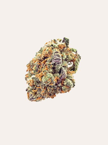 MIMOSA